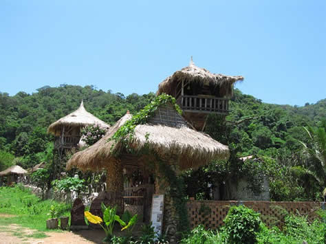 tree top bungalows in kep cambodia