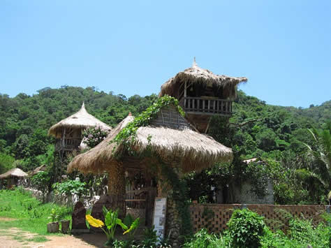 Tree Bungalow