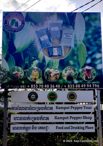 Ny Ann Kampot Pepper Farm in Kep, Cambodia.
