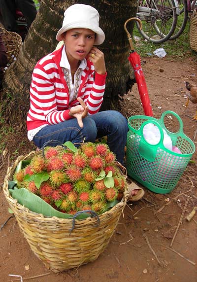 selling sao mao fruit in kep cambodia