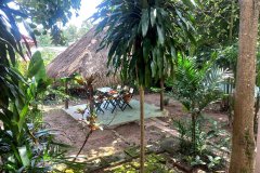 jungle-house-kep