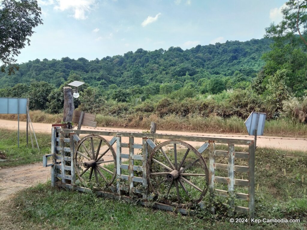 Sothy's Pepper Farm in Kep, Cambodia. Kampot Pepper.