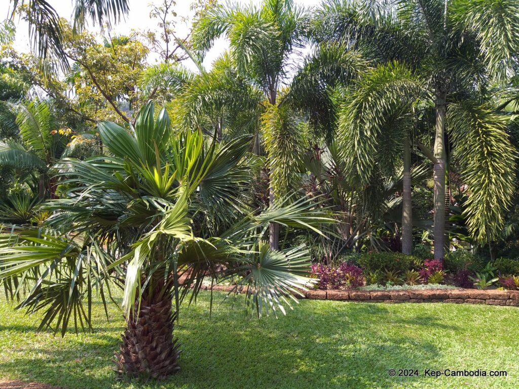 Cominsia Lodge in Kep, Cambodia.