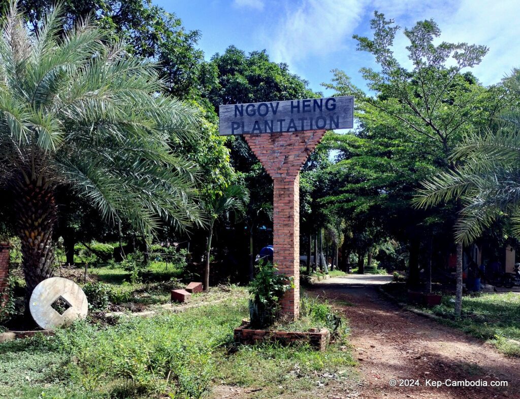 Ngov Heng Pepper Plantation in Kep, Cambodia.