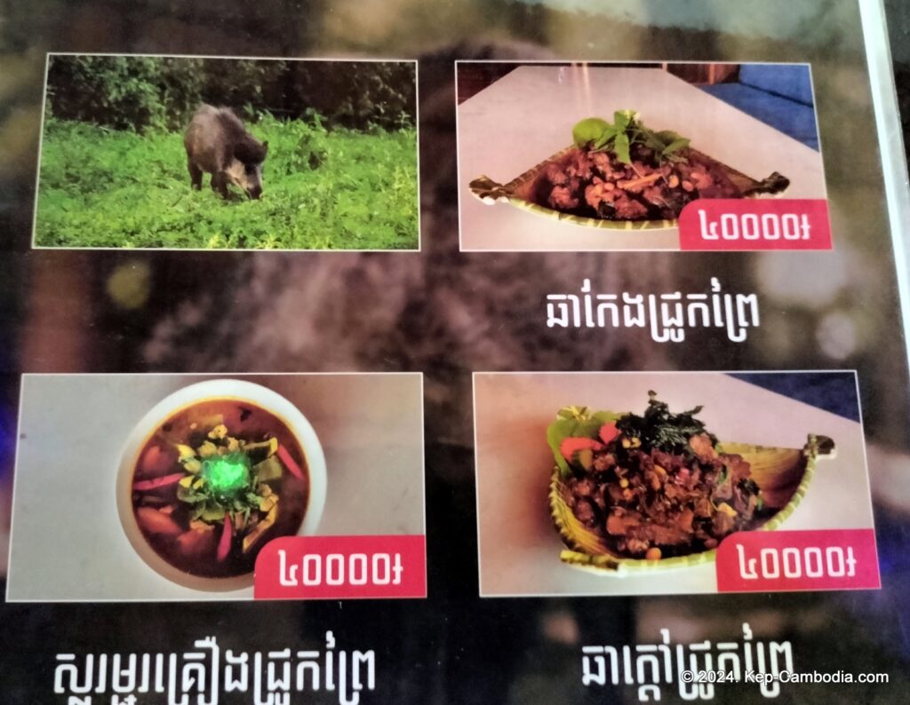 Phnom Vor Natural Paradise Resort in Kep, Cambodia and Kampot. Restaurant and Bamboo Train.