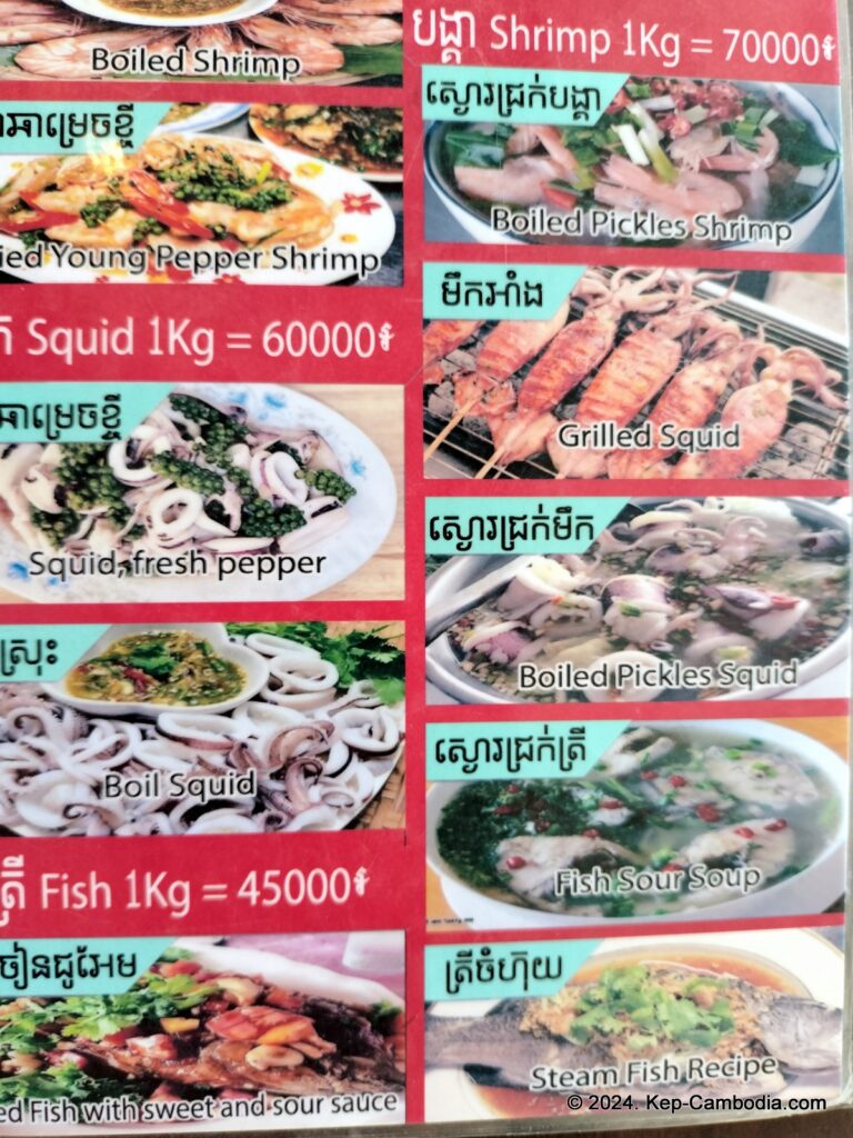 Ny Ann Pepper Plantation in Kep, Cambodia. (Kampot)