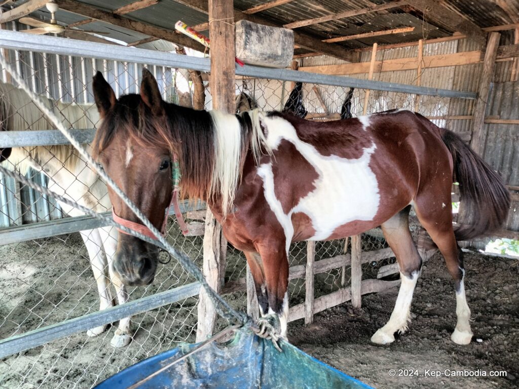 Kampong Trach Caves and Mountains in Kep, and Kampot, Cambodia.