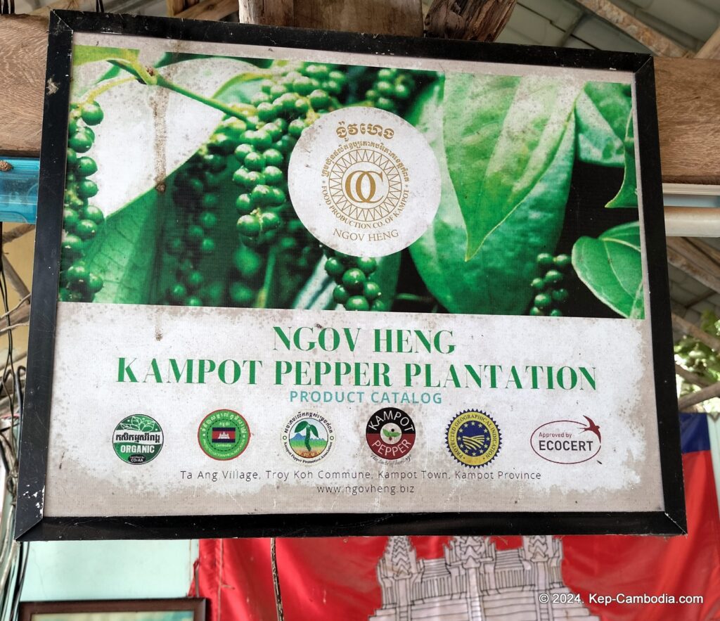 Ngov Heng Pepper Plantation in Kep, Cambodia.