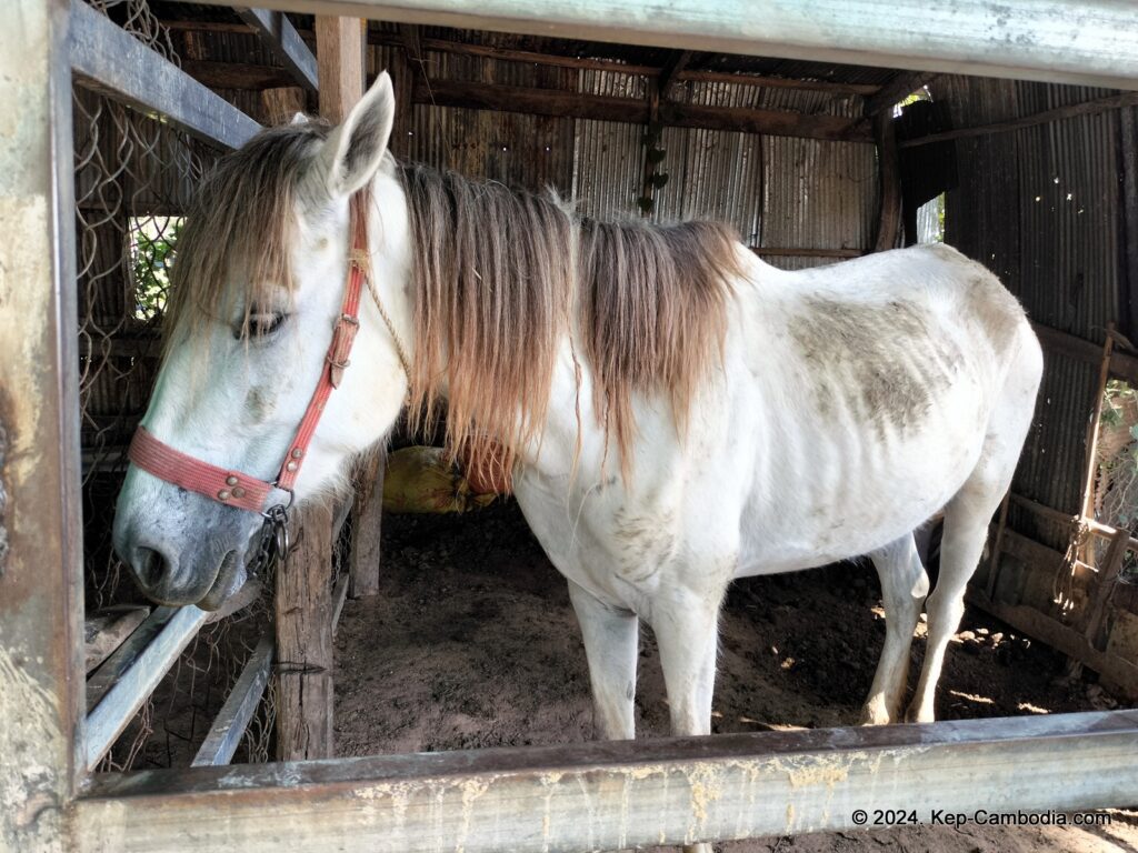Kampong Trach Caves and Mountains in Kep, and Kampot, Cambodia.