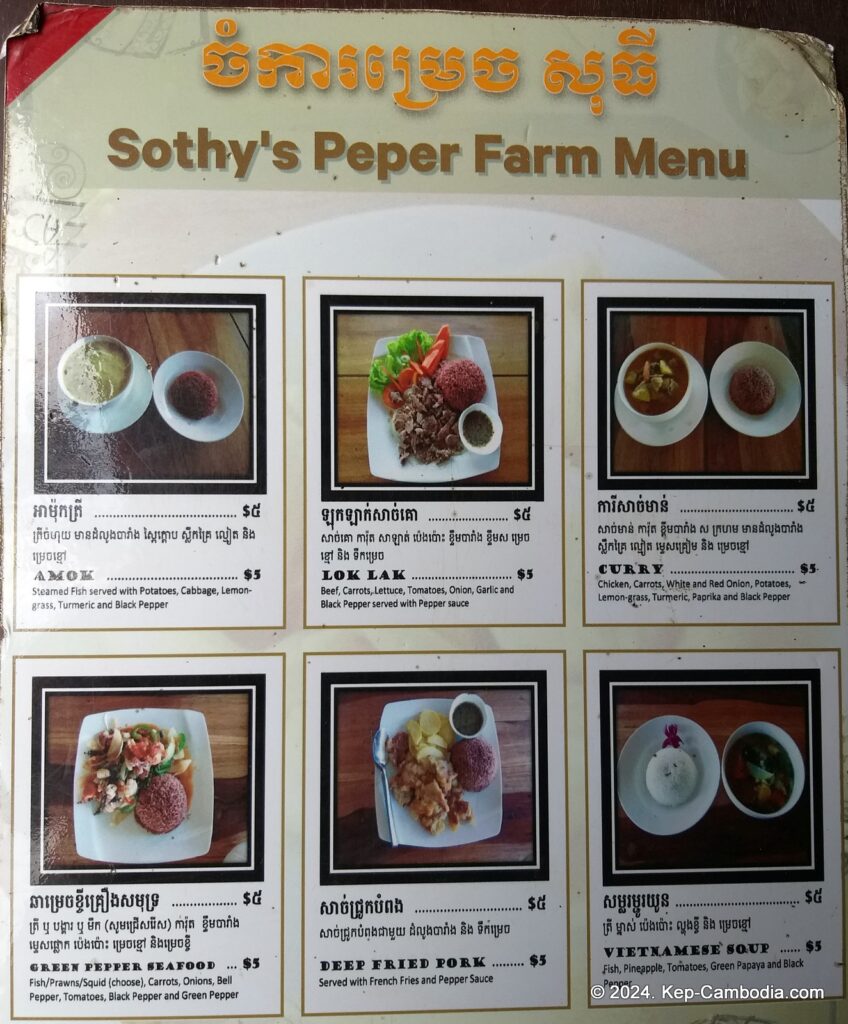 Sothy's Pepper Farm in Kep, Cambodia. Kampot Pepper.