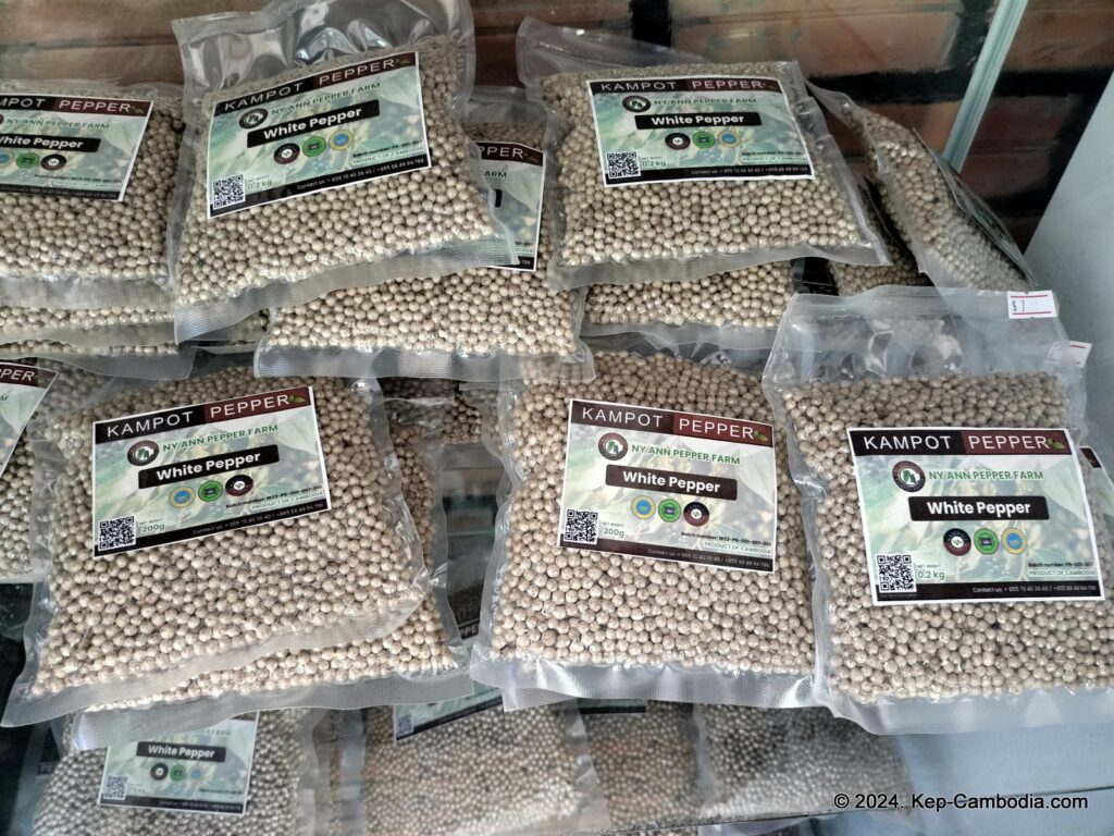 Ny Ann Pepper Plantation in Kep, Cambodia. (Kampot)