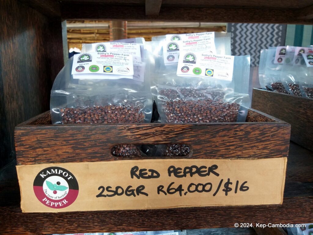 Sothy's Pepper Farm in Kep, Cambodia. Kampot Pepper.