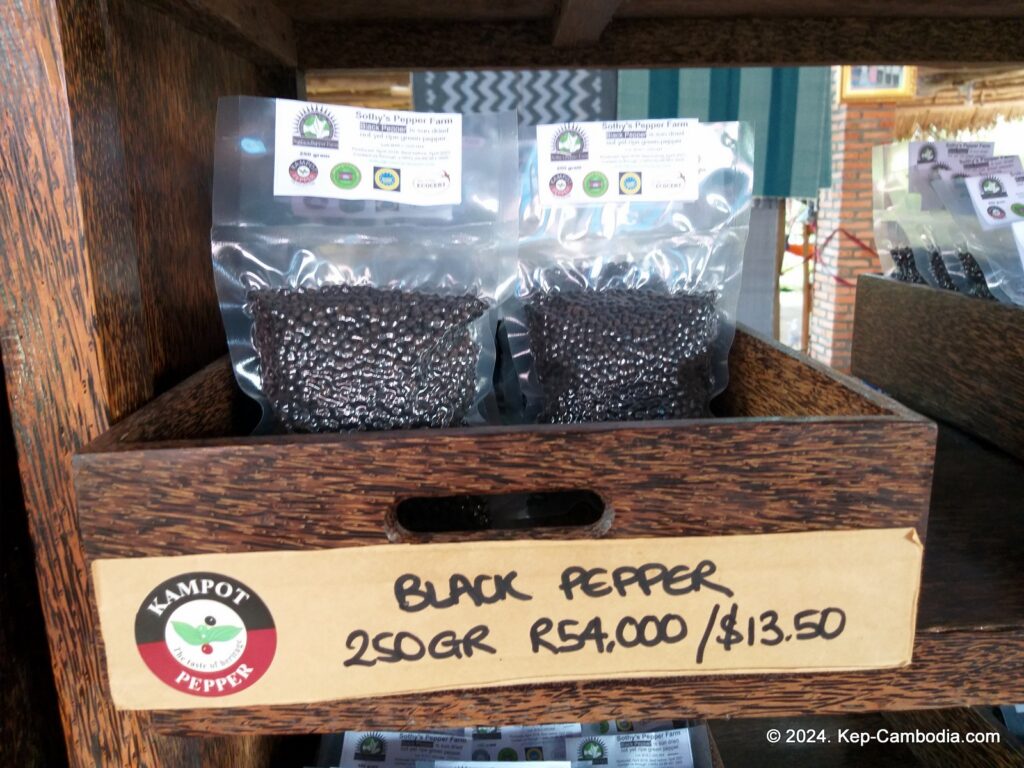 Sothy's Pepper Farm in Kep, Cambodia. Kampot Pepper.
