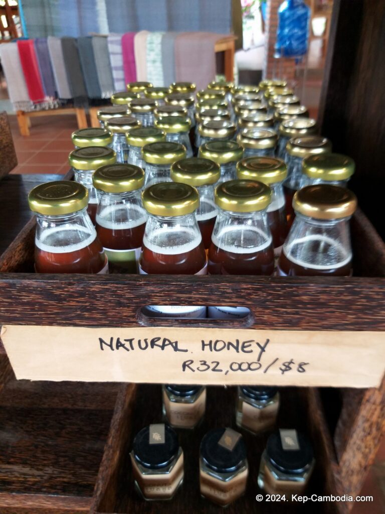 Sothy's Pepper Farm in Kep, Cambodia. Kampot Pepper.