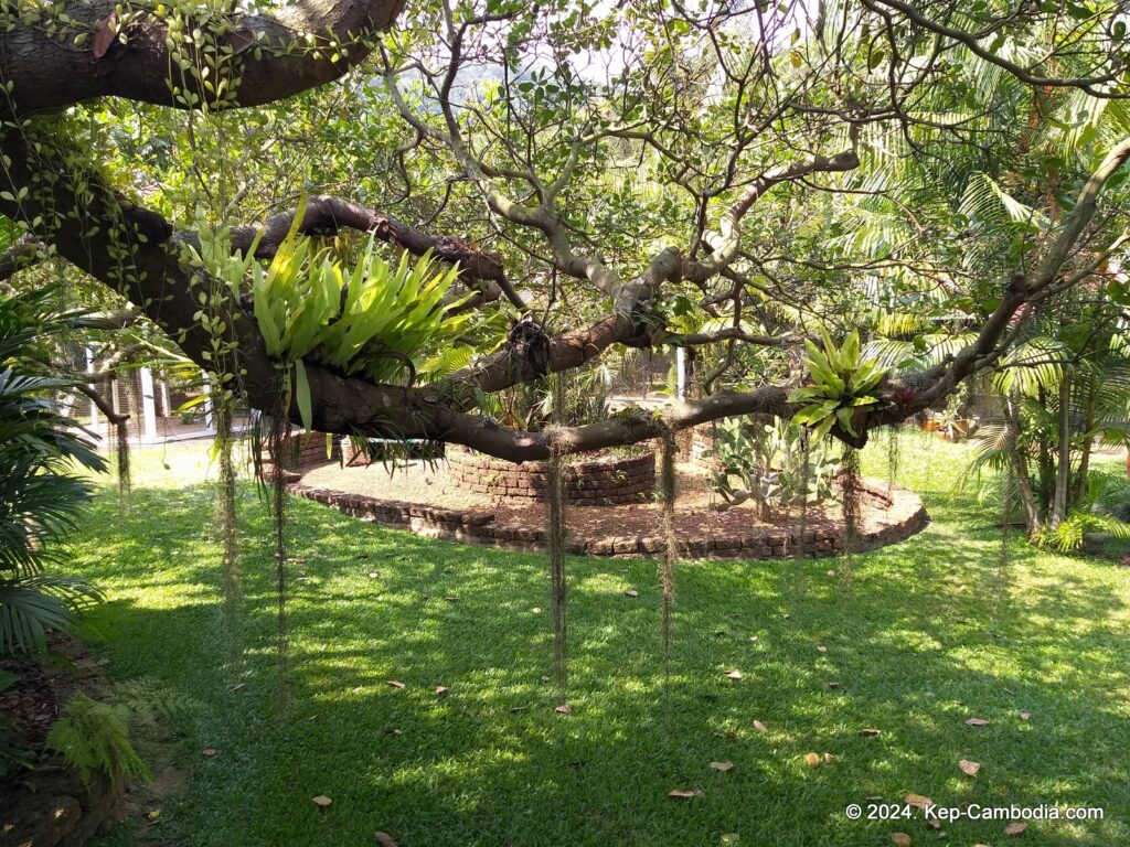 Cominsia Lodge in Kep, Cambodia.