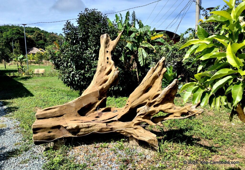 Ny Ann Pepper Plantation in Kep, Cambodia. (Kampot)