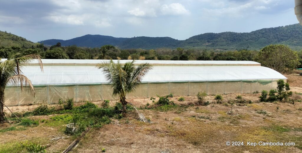 Phnom Vor Natural Paradise Resort in Kep, Cambodia and Kampot. Restaurant and Bamboo Train.