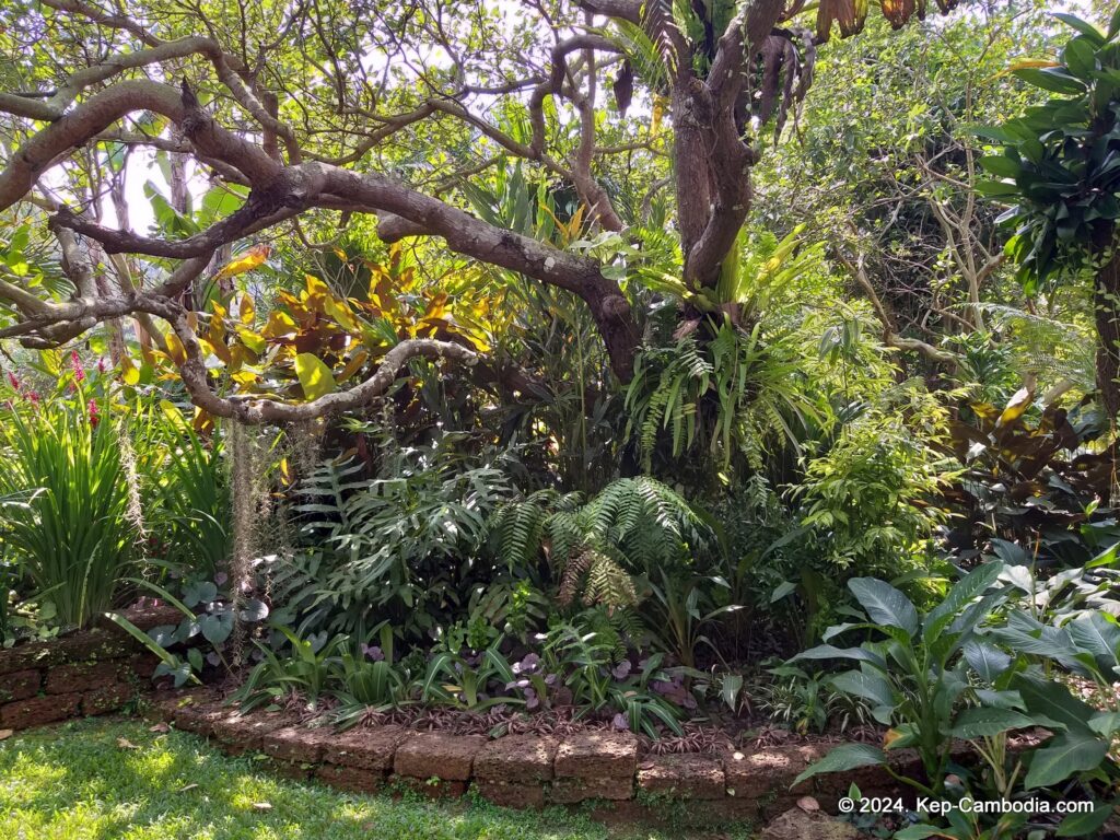 Cominsia Lodge in Kep, Cambodia.