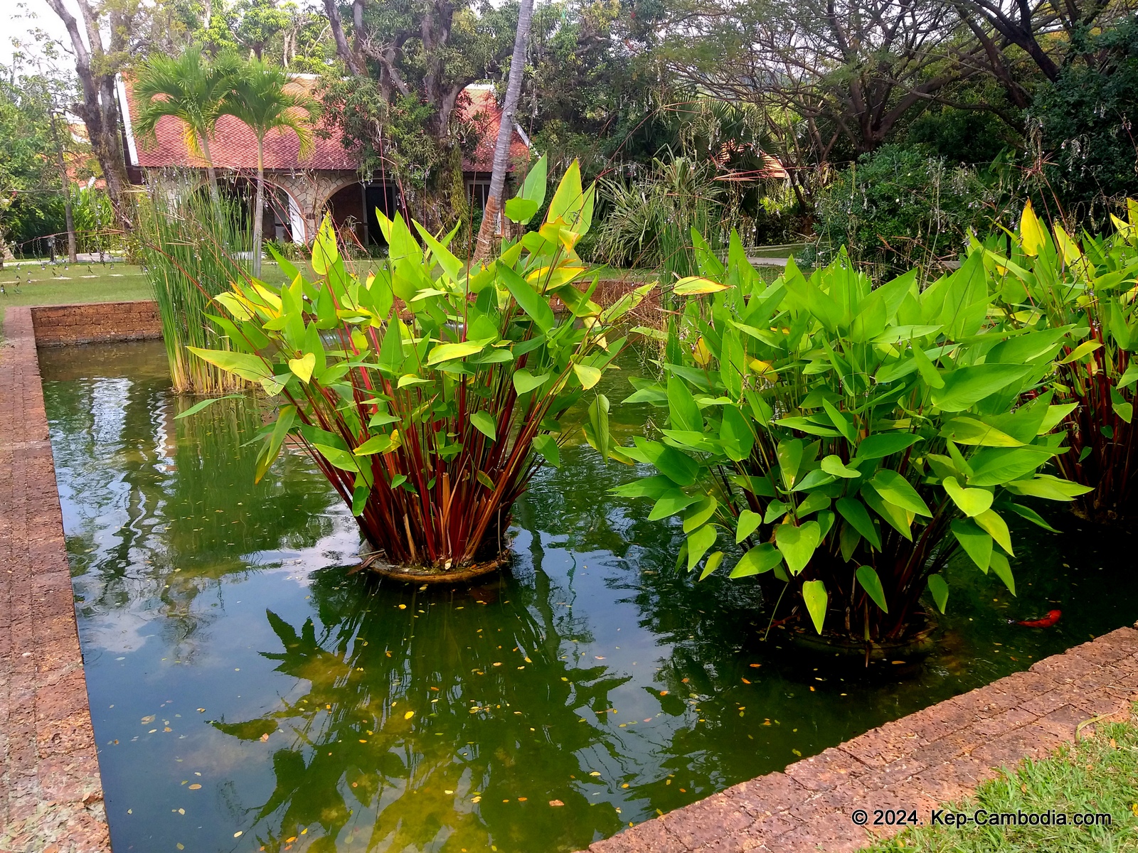 Samanea Resort in Kep, Cambodia. Beachside Resort.
