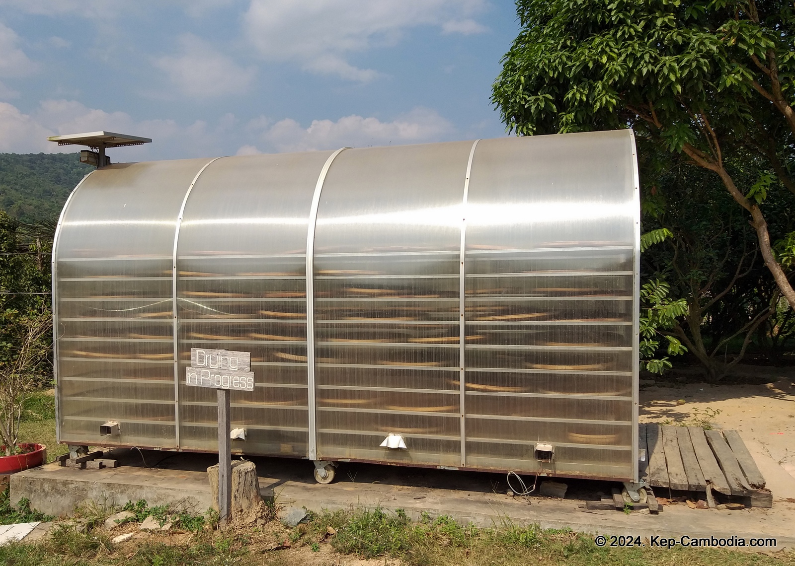 Sothy's Pepper Farm in Kep, Cambodia. Kampot Pepper.