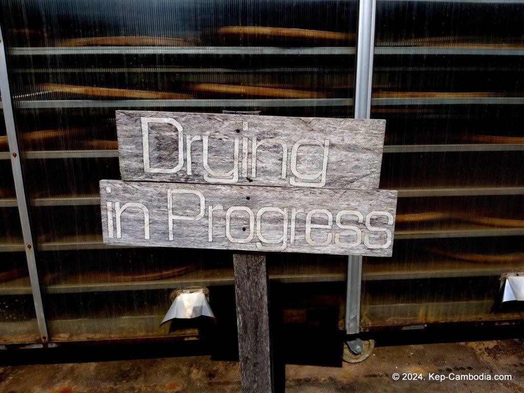 Sothy's Pepper Farm in Kep, Cambodia. Kampot Pepper.