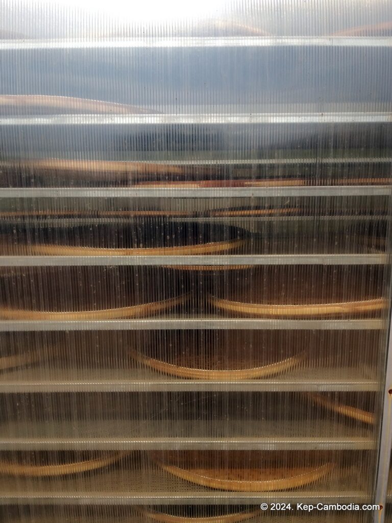 Sothy's Pepper Farm in Kep, Cambodia. Kampot Pepper.