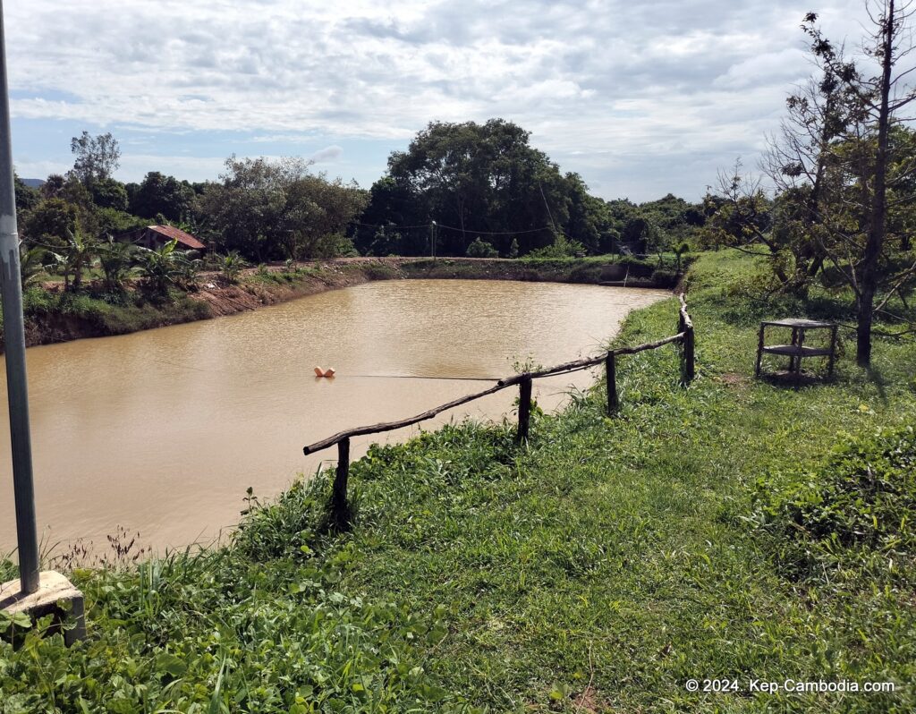 Ny Ann Pepper Plantation in Kep, Cambodia. (Kampot)