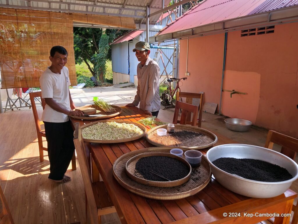 Sothy's Pepper Farm in Kep, Cambodia. Kampot Pepper.