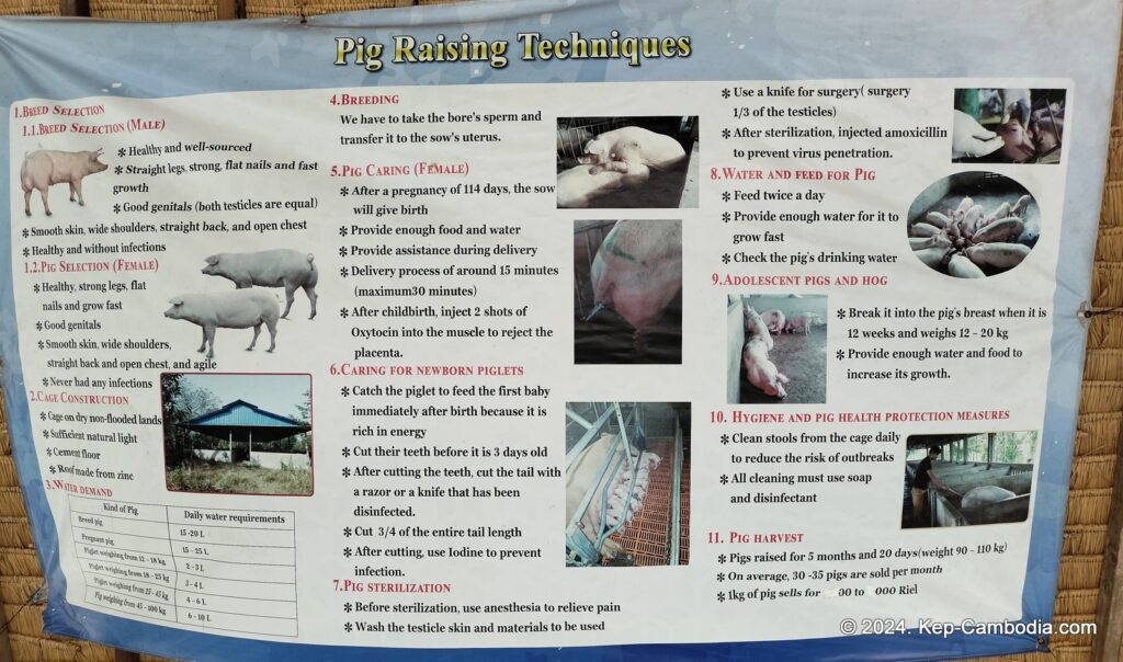 Phnom Vor Natural Paradise Resort in Kep, Cambodia and Kampot. Restaurant and Bamboo Train.