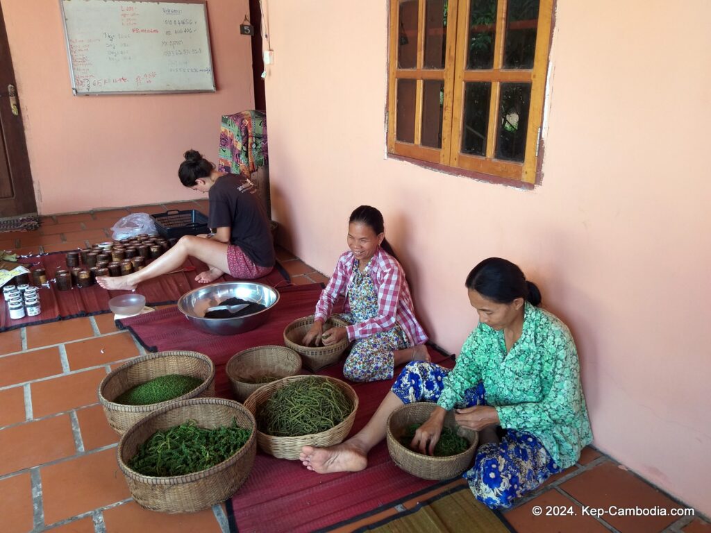 Sothy's Pepper Farm in Kep, Cambodia. Kampot Pepper.