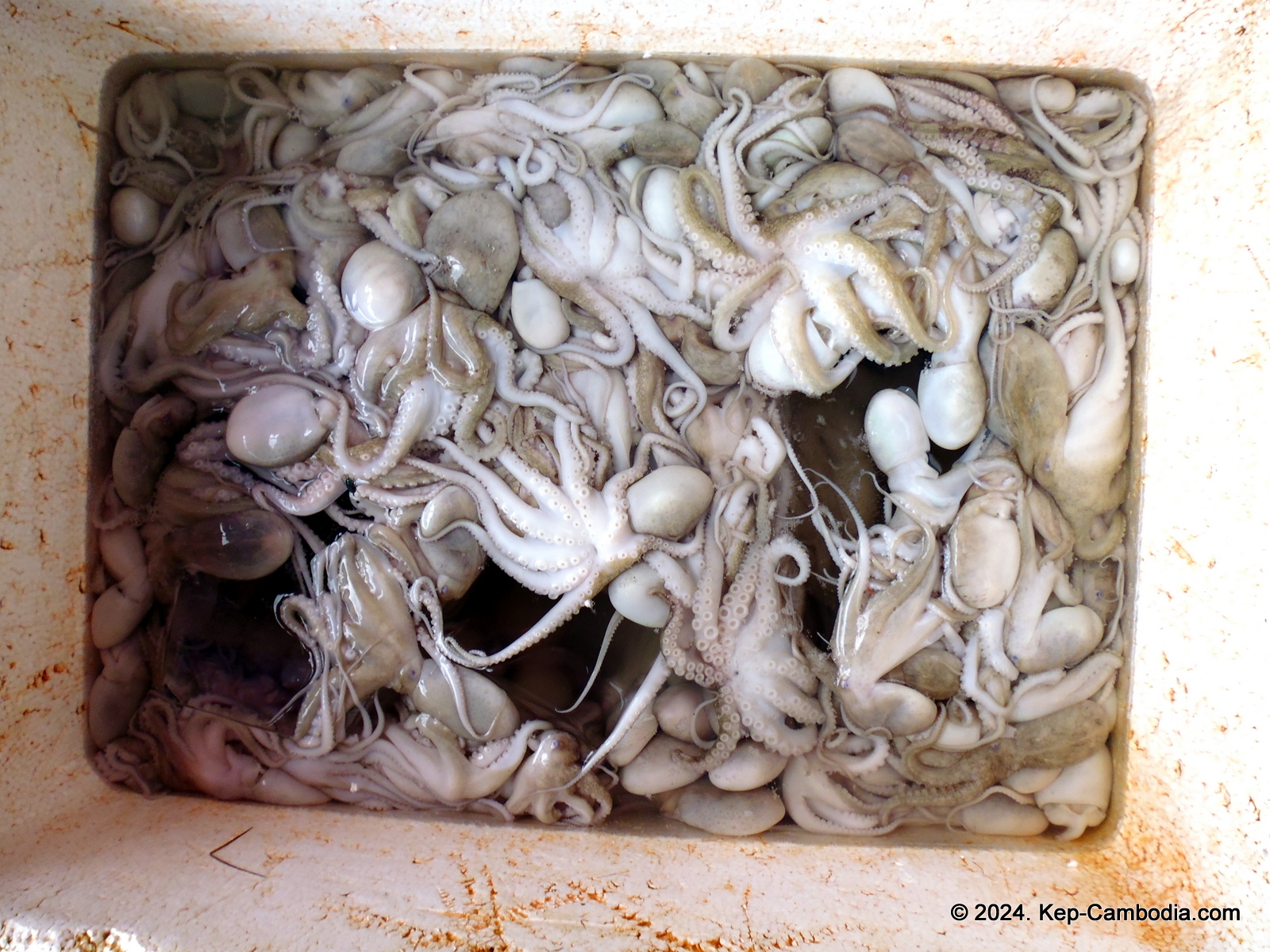 Kep Crab Market in Kep, Cambodia.