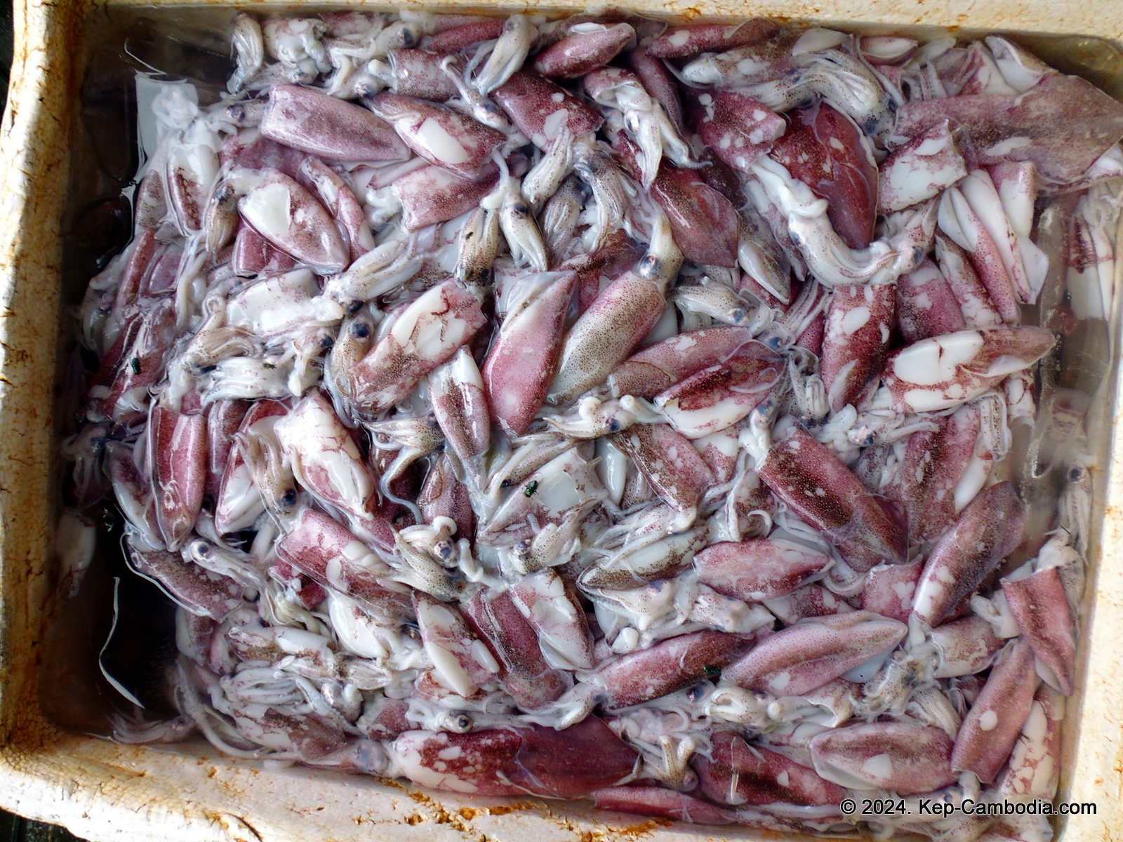 Kep Crab Market in Kep, Cambodia.