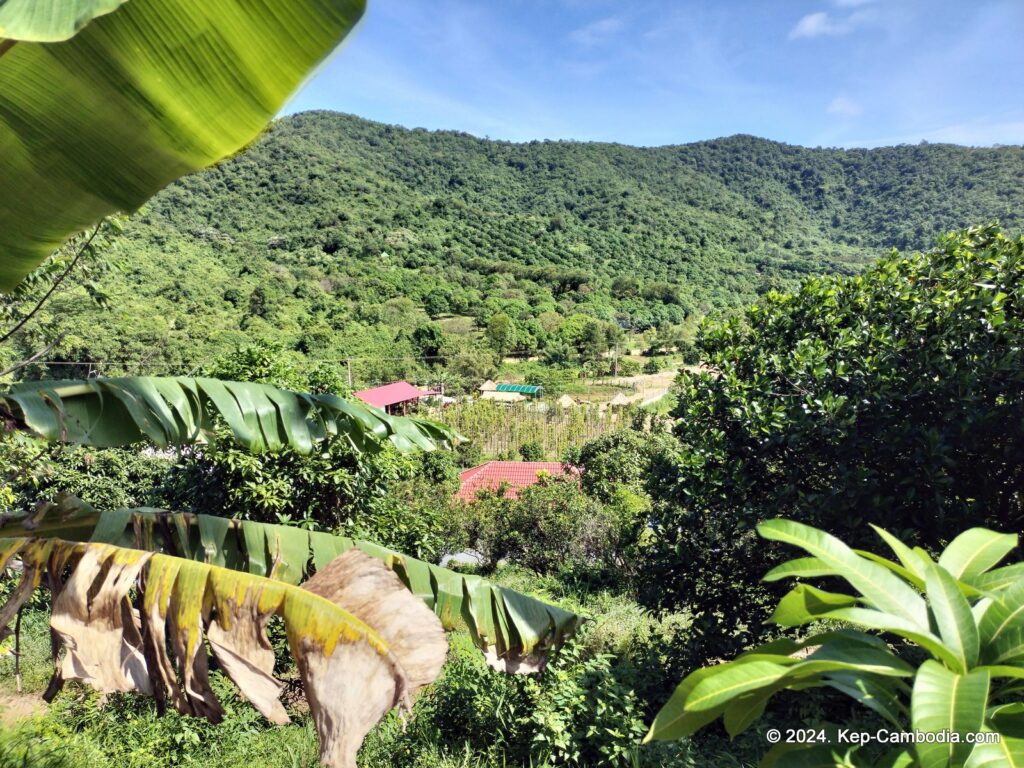 Ny Ann Pepper Plantation in Kep, Cambodia. (Kampot)