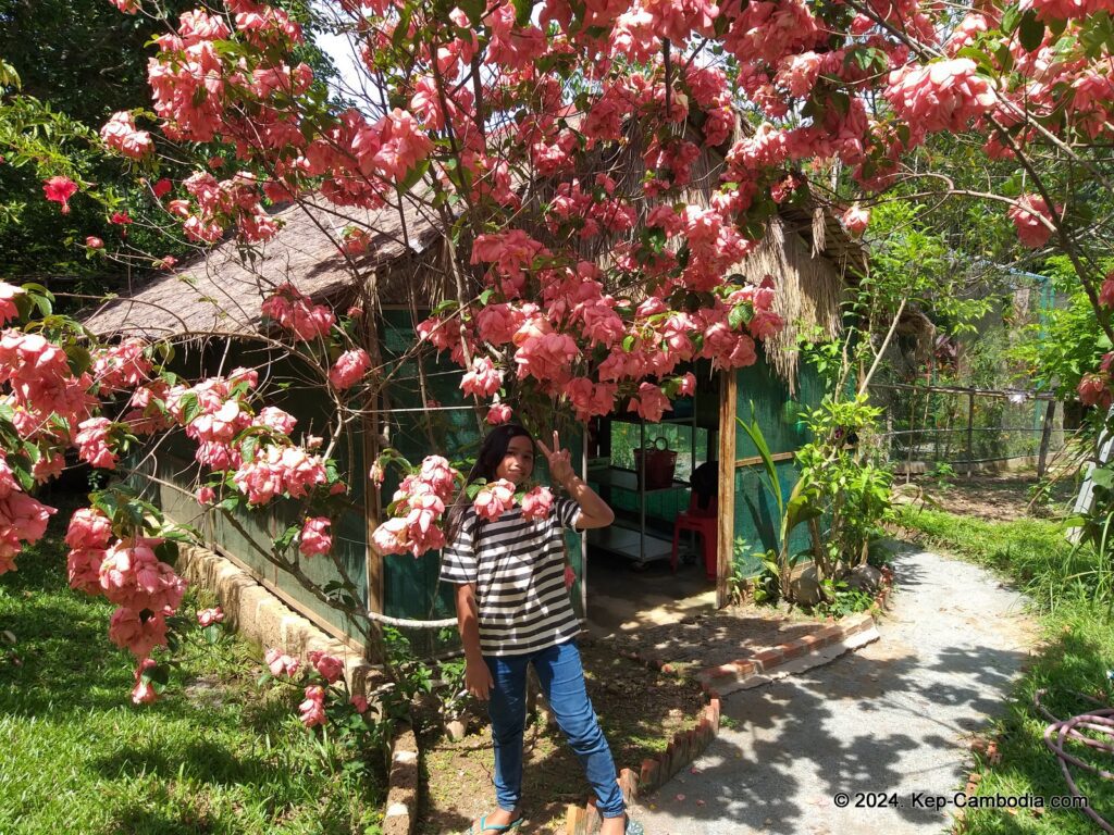 Kep Butterfly Garden in Kep, Cambodia.