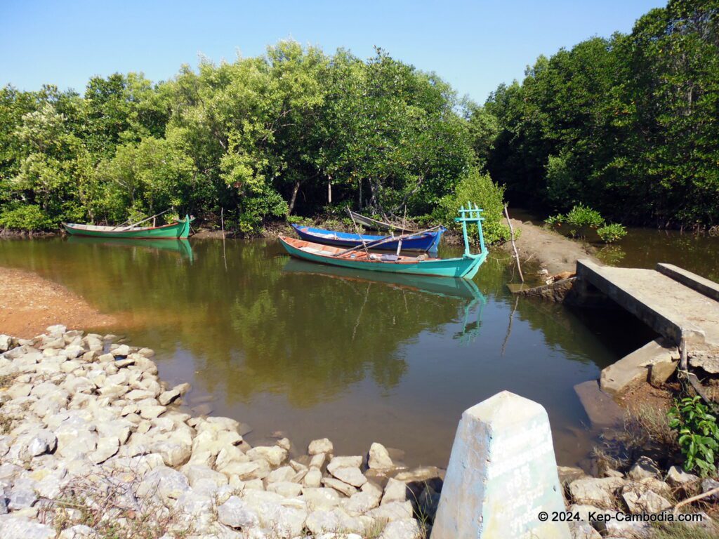 Mangrove forest in Kep, Cambodia.