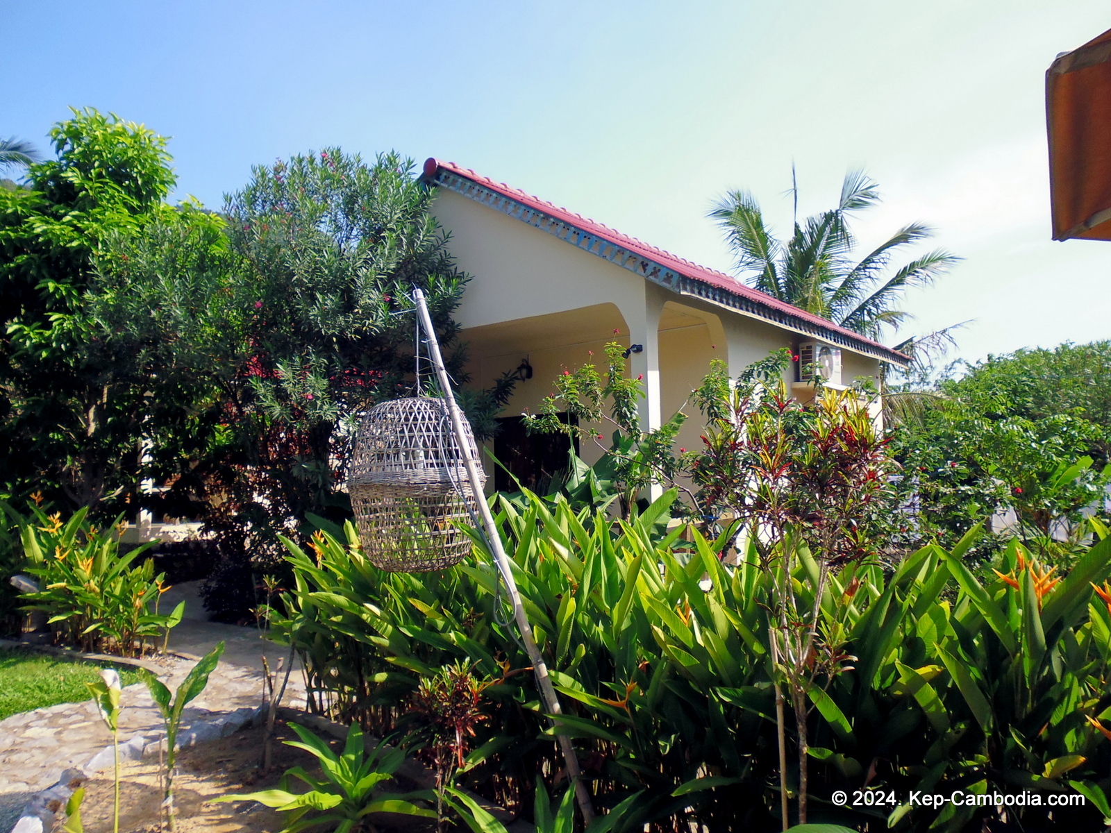 Bird's of Paradise in Kep, Cambodia.