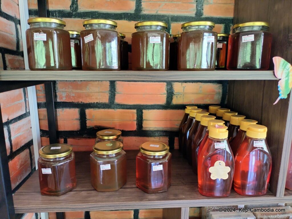 Ny Ann Pepper Plantation in Kep, Cambodia. (Kampot)