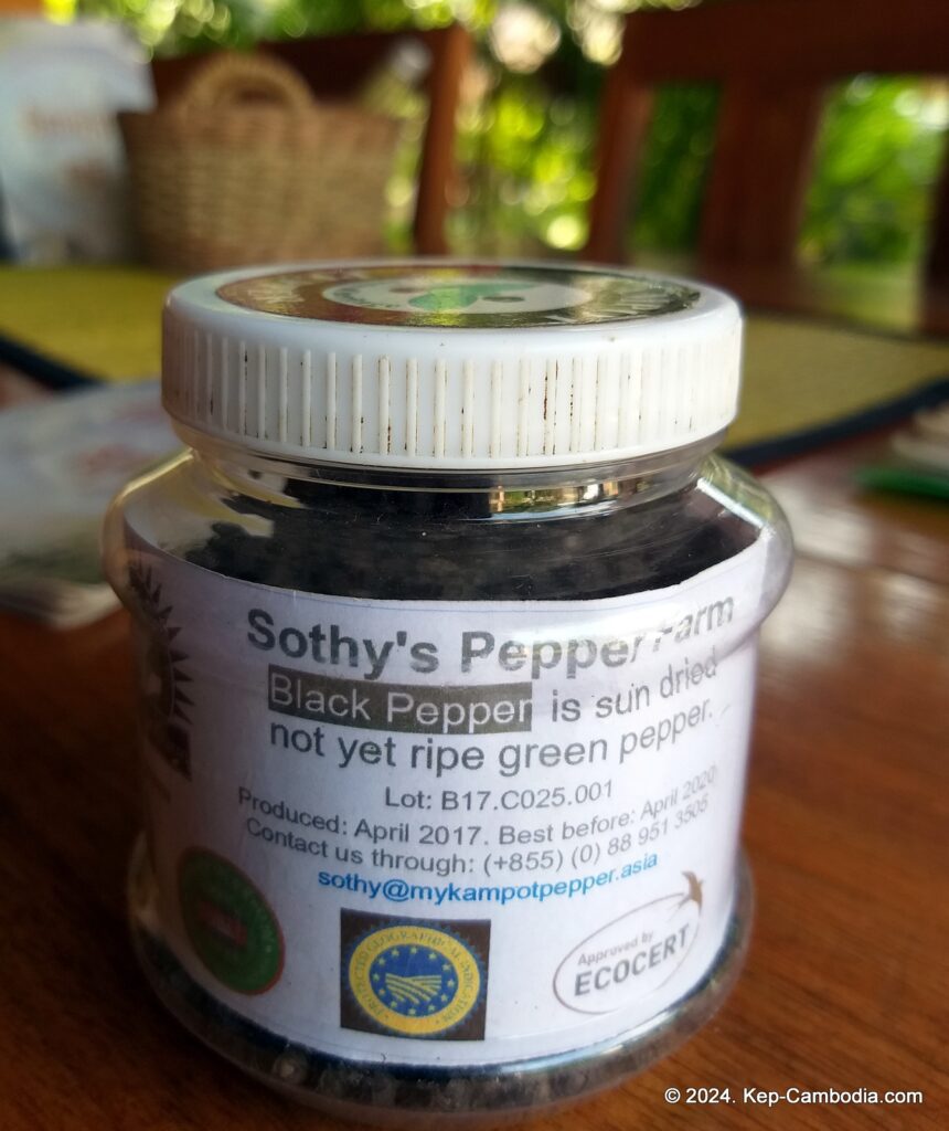 Sothy's Pepper Farm in Kep, Cambodia. Kampot Pepper.