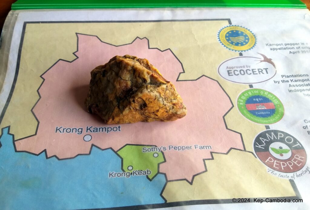 Sothy's Pepper Farm in Kep, Cambodia. Kampot Pepper.