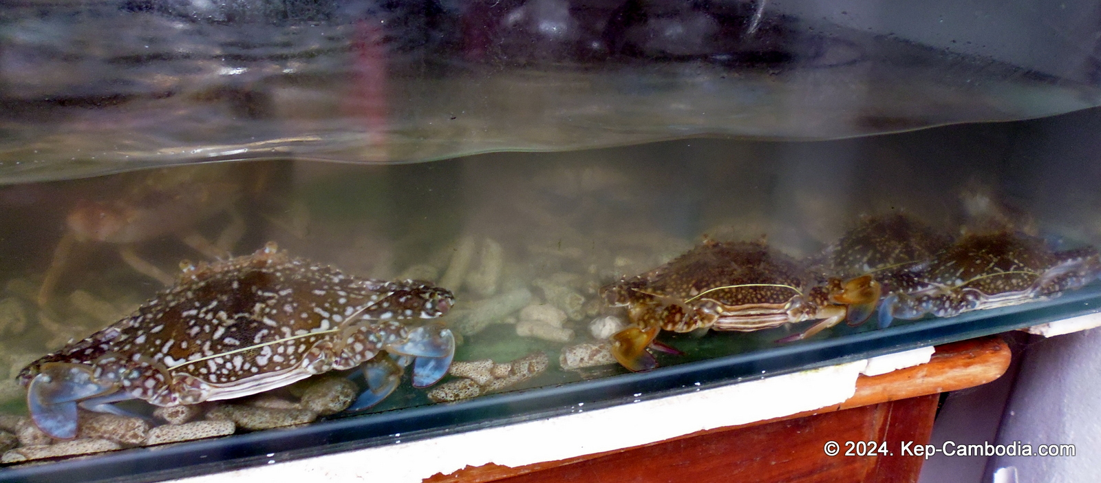 Kep Crab Market in Kep, Cambodia.