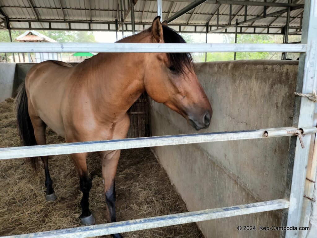 Phnom Vor Natural Paradise Resort in Kep, Cambodia and Kampot. Restaurant and Bamboo Train.