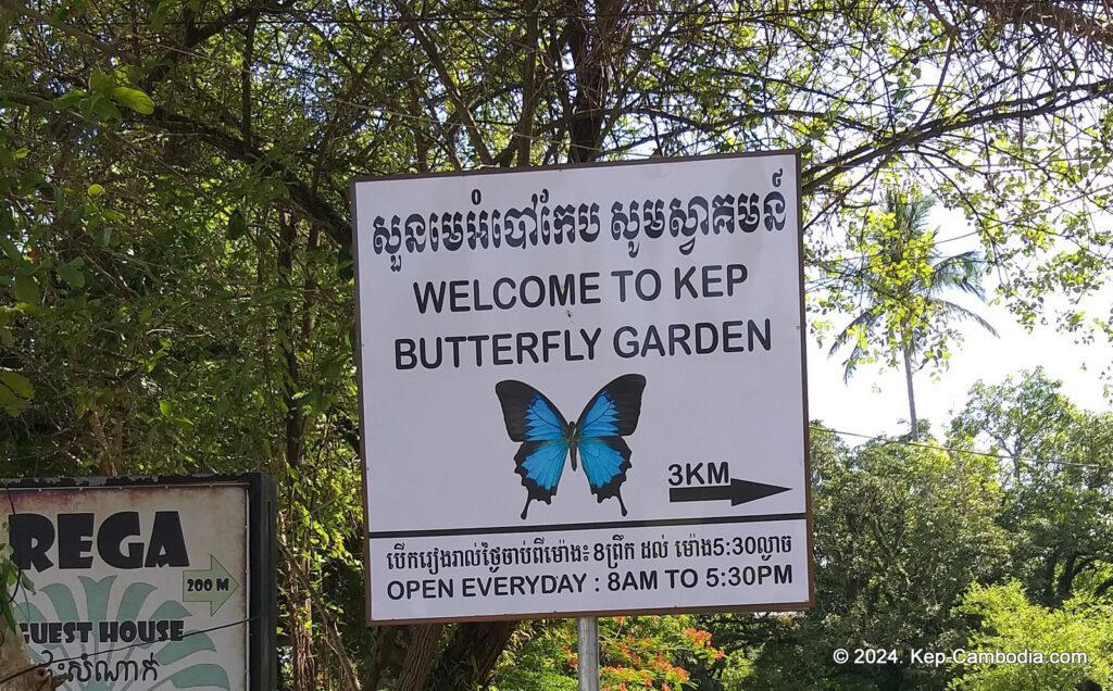 Kep Butterfly Garden in Kep, Cambodia.