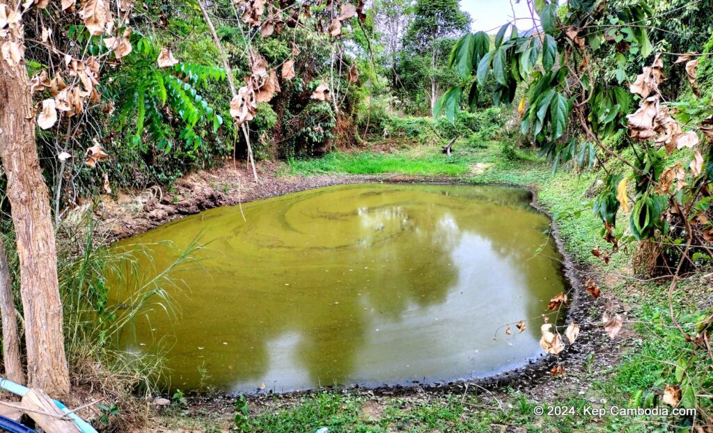 Phnom Vor Natural Paradise Resort in Kep, Cambodia and Kampot. Restaurant and Bamboo Train.