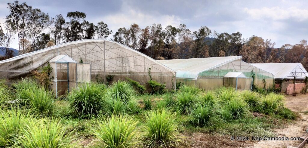 Phnom Vor Natural Paradise Resort in Kep, Cambodia and Kampot. Restaurant and Bamboo Train.