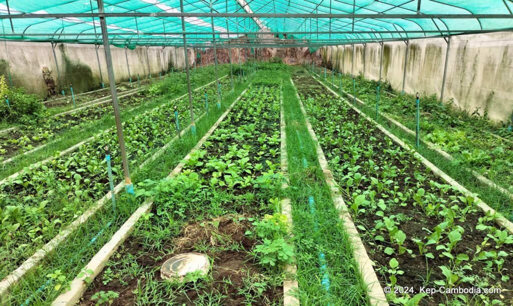 Phnom Vor Natural Paradise Resort in Kep, Cambodia and Kampot. Restaurant and Bamboo Train.