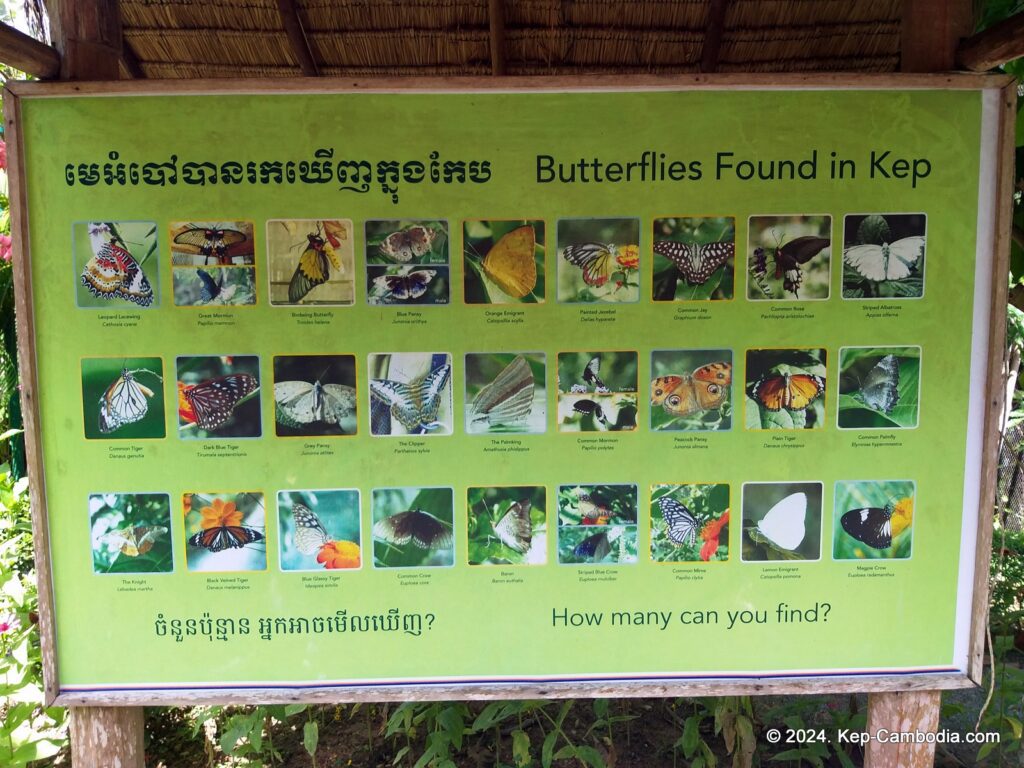 Kep Butterfly Garden in Kep, Cambodia.