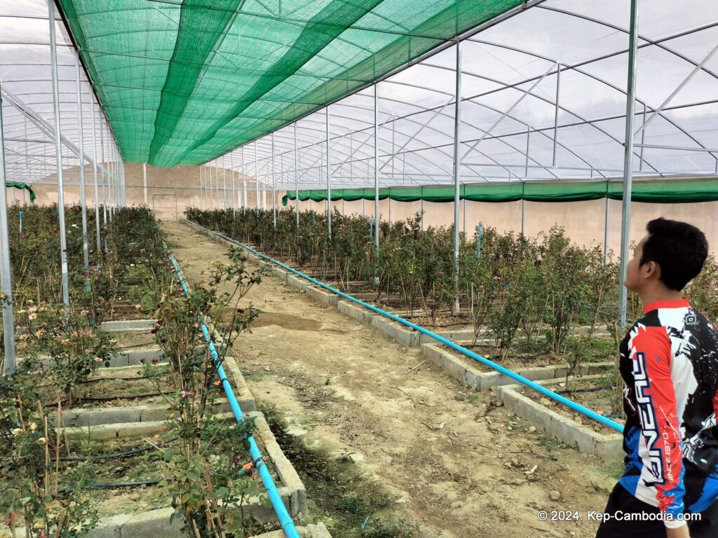 Phnom Vor Natural Paradise Resort in Kep, Cambodia and Kampot. Restaurant and Bamboo Train.