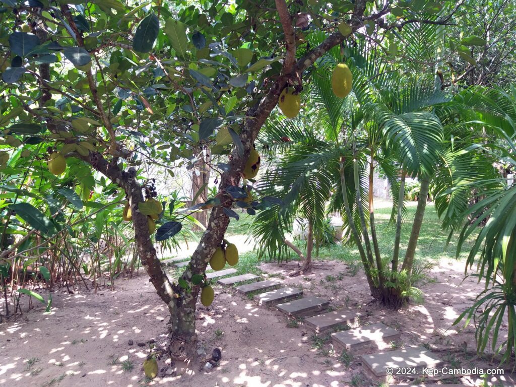 Villa Samathi in Kep, Cambodia.