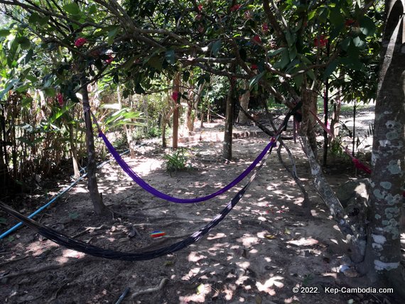 jungle house kep, cambodia