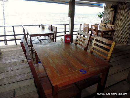 Seagull La Mouette in kep, cambodia
